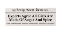 experts agree all girls are made of sugar and spice magnet