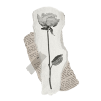 a black and white image of a rose on a piece of paper